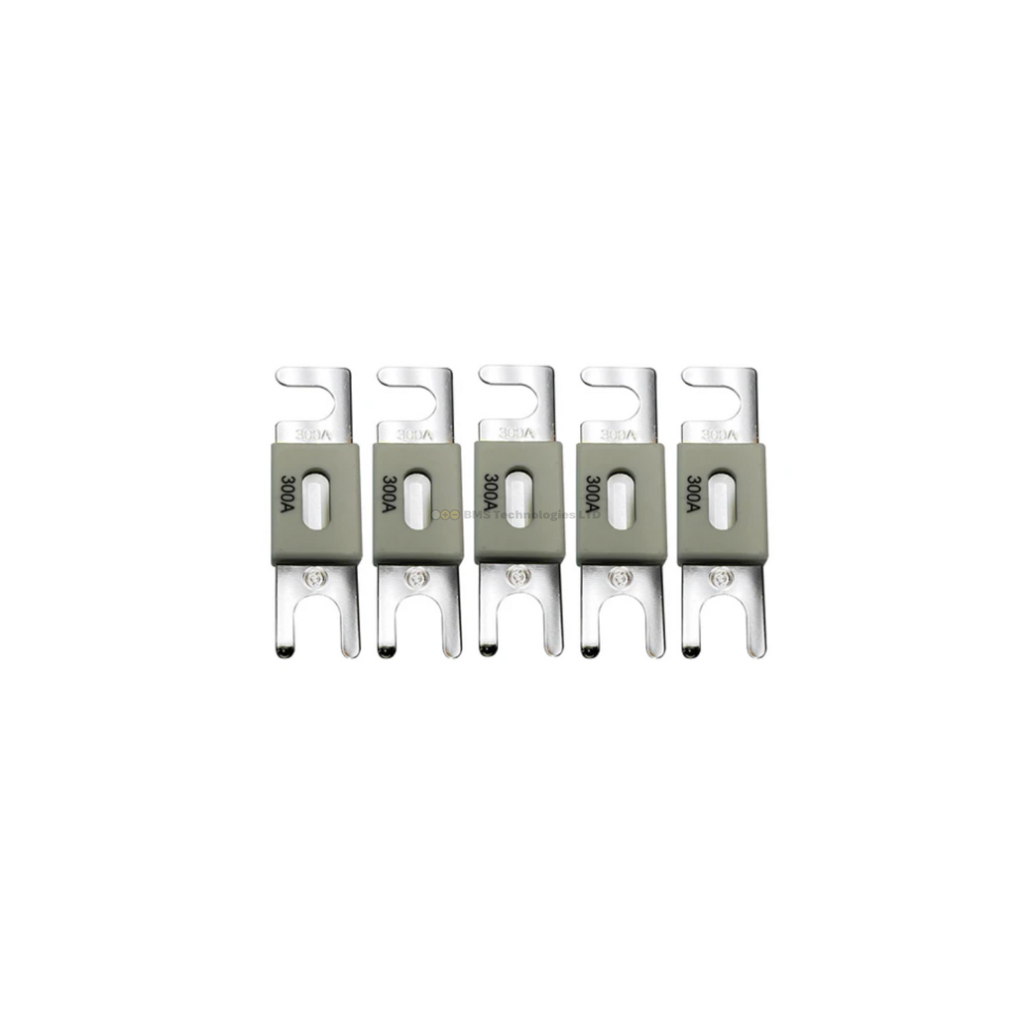 Victron ANL-Fuse 300A/80V f/48V Products (Package of 5)